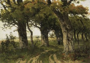 Allée de chênes à la fin de l
