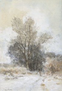 Promeneur dans la neige au bord d