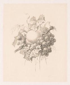 Composition de fruits - Maria Geertruida de Goeje Barbiers (attributed to)