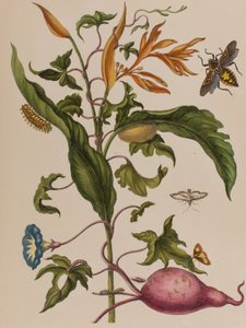 Illustration de 