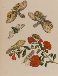 Illustration de 
