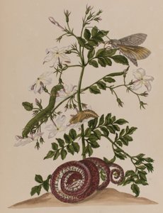 Illustration de 