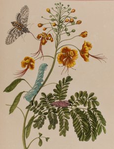 Illustration de 