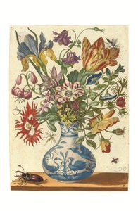 Planche du Blumenbuch (gravure coloriée à la main) - Maria Sibylla Graff Merian