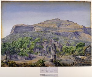 Champaneer, près de Baroda, Inde - Marianne North