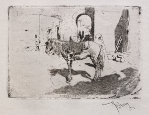 Cheval marocain
