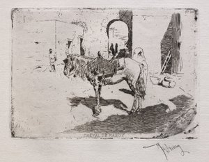 Cheval du Maroc