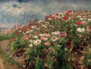 Coquelicot en fleur, motif de Saint-Georgen près de Melk