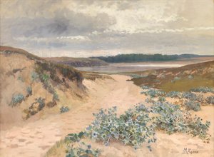 Paysage de dunes en Bretagne