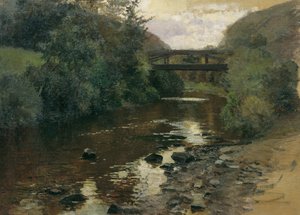 Eau forestière avec pont