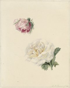 Études d
