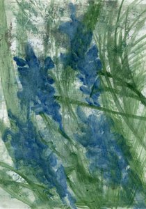 Fleurs bleues, 2022