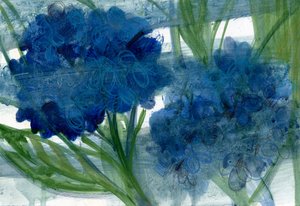 Hortensias bleus, 2020