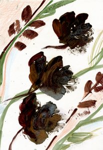 Fleurs séchées - Marina Falco
