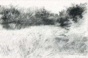 Paysage, 2021 - Marina Falco