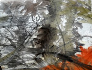 Motif 21