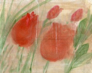 Tulipes rouges