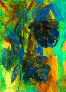 Roses - Marina Falco