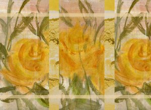 Fleurs jaunes 2 - Marina Falco