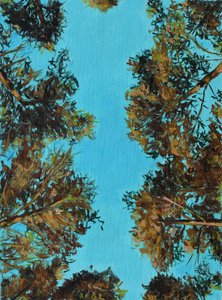 Arbres d