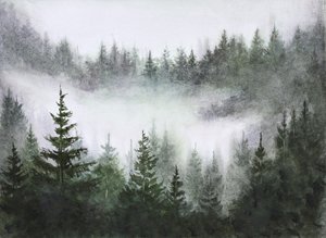 Sérénité de la forêt brumeuse