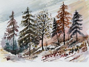 Aube enneigée dans la forêt