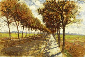 Avenue bordée d