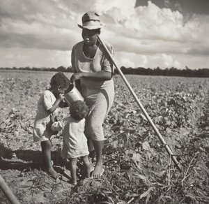 Femme noire donnant à boire à ses enfants dans le champ où elle bine le coton dans le cadre d