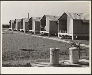Logements pour les cueilleurs de légumes migrateurs, camps de travail Osceola, construits par la FSA, Belle Glade, Floride
