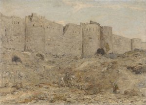 Muraille de la ville en Inde - Marius Bauer