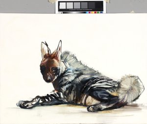 Adolescent, 2010