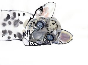 Léopard arabe, 2008 - Mark Adlington