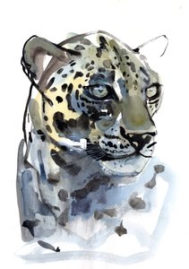 Léopard Arabe, 2008 - Mark Adlington