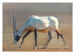 Oryx d