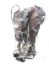 Étude de bébé éléphant, 2018 - Mark Adlington