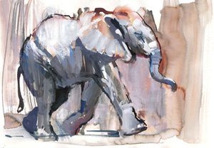 Bébé éléphant, 2012