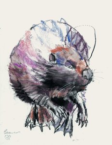 Castor, 2001 - Mark Adlington
