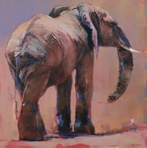 Derrière, Loisaba - Mark Adlington