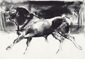 Taureau noir