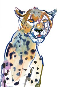Guépard Chyulu, 2022