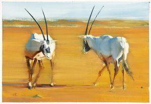 Oryx d