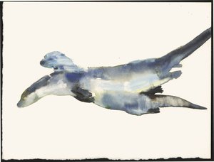Loutres en cour - Mark Adlington
