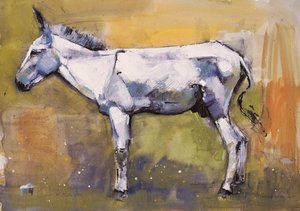 Âne étalon, Ronda, 1998