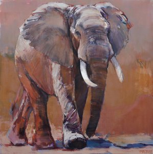 Saison sèche, Loisaba, 2018 - Mark Adlington