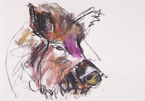 Dzik - Mark Adlington