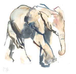 Éléphanteau, Loisaba, 2017 - Mark Adlington
