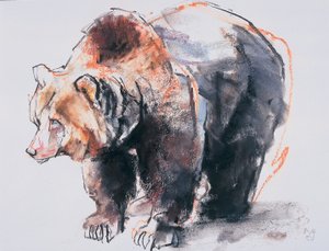Ours brun européen, 2001 - Mark Adlington
