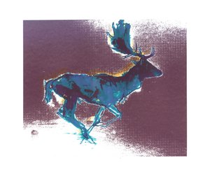 Daim (ombre bleue et jaune), 2015