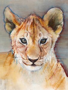 Lionceau féroce, Masai Mara, 2019 - Mark Adlington