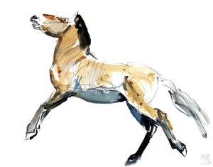 Libre (Przewalski), 2012